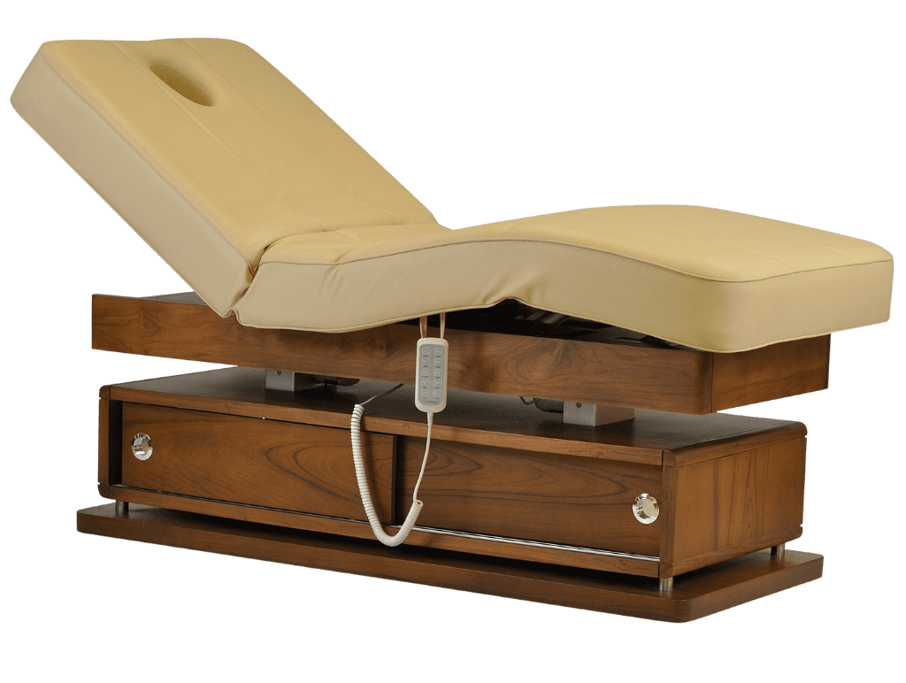 Mudit Electric Massage Bed