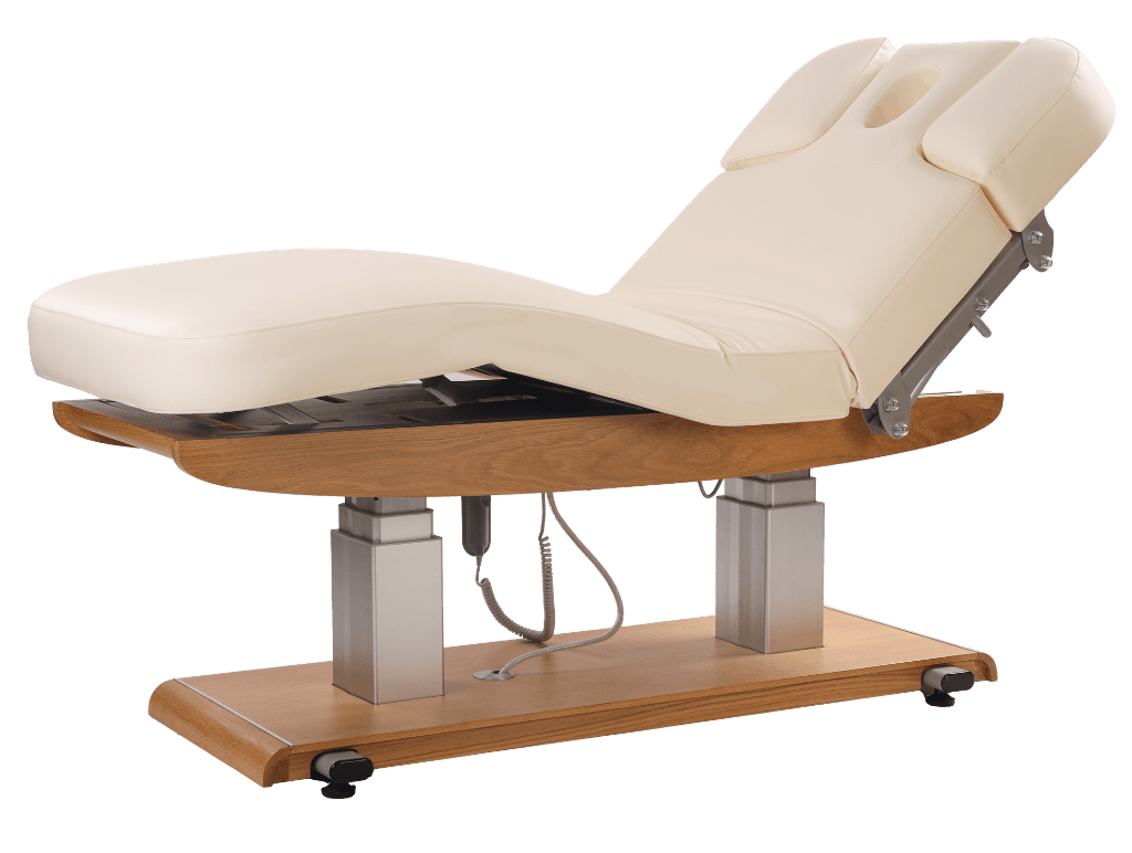 Tejas Electric Spa Massage Table