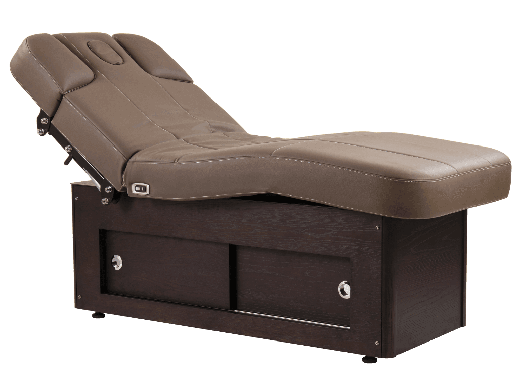 Raman Electric Spa Massage Table
