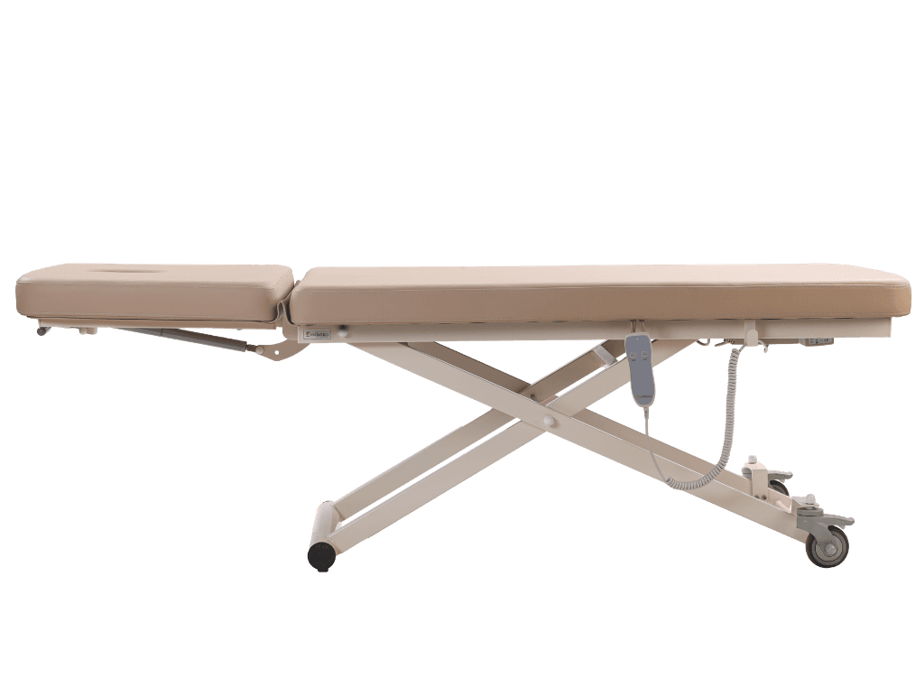 Esthetica Electric Couch